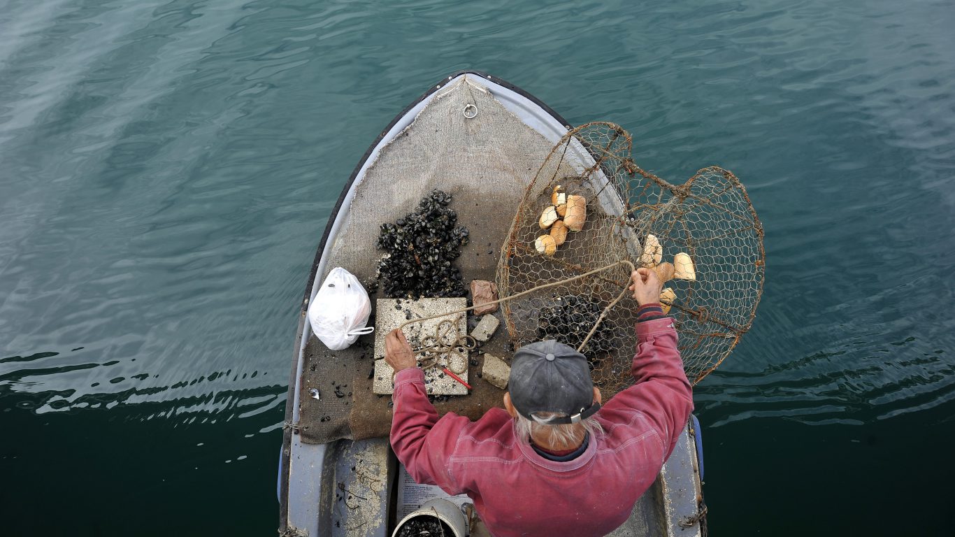 Zadar Moments: A Fisherman Prepares