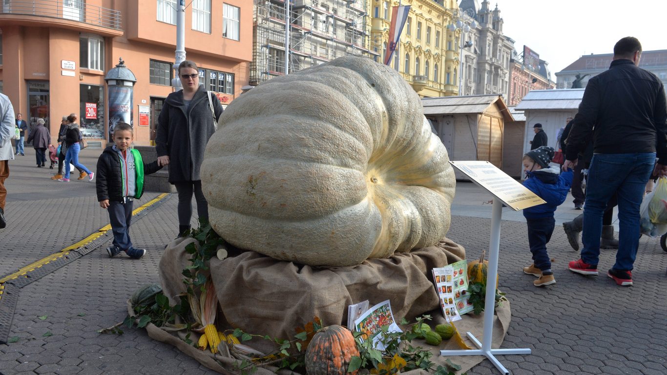 Heaviest Pumpkin