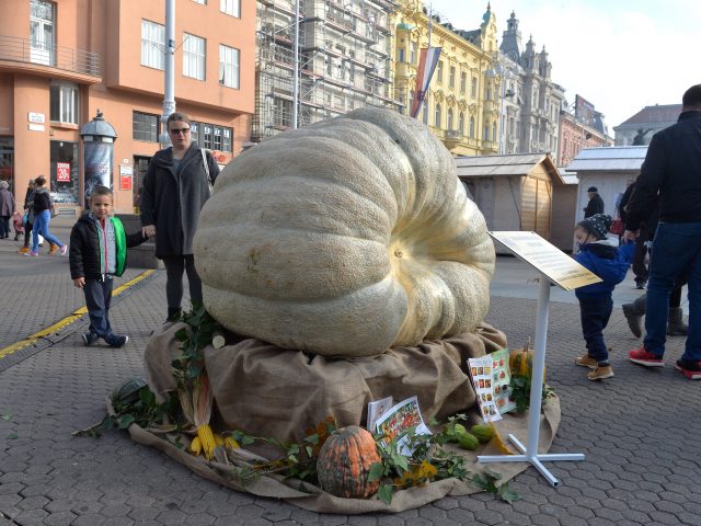 Heaviest Pumpkin
