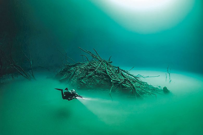 Best Underwater Photographs